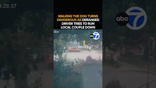 Driver accused of trying to run over couple dog at LA park