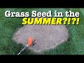 Planting Grass Seed at The WRONG Time