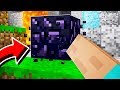 STRONGEST MINECRAFT PLAYER IN THE WORLD? *MINE ANY BLOCK*