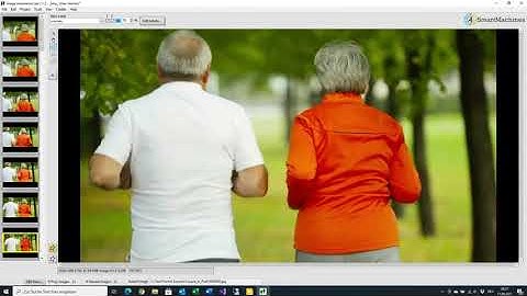 Image Annotation Lab - VOS multiple objects (Hindi)