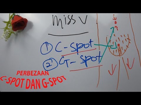 PERBEZAAN C-SPOT DAN G-SPOT (LELAKI PERLU TAHU)