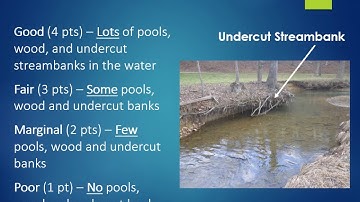 Watershed Watch in Kentucky: Stream Habitat Assessment