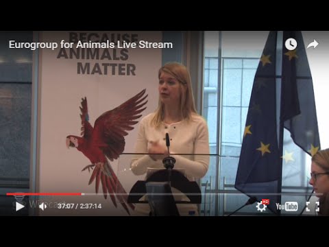 animal welfare act pdf Animal Welfare Event 2016 by Eurogroup for Animals