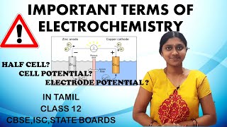 Important Terms In Electrochemistry | In Tamil | Class 12 | Cell , Electrode Potential | EMF Of cell