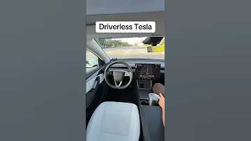 Tesla Robotaxi 