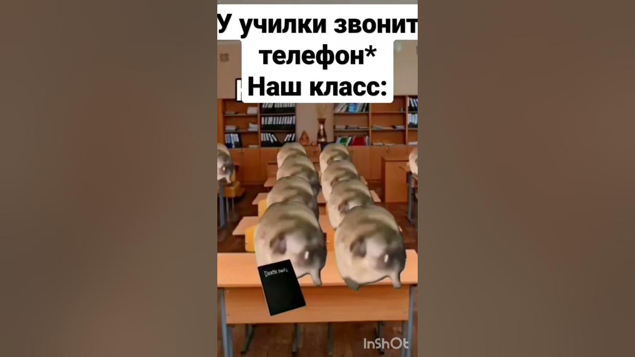 Чундра чучундра мем с котом мемы топ самых лучших из тик тока #500subs #shorts #майнкрафт #мемы #приколы #ти
