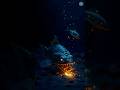 🌌 “A Light That Lures to Death — Anglerfish Mystery!” 🐠🐋🐟