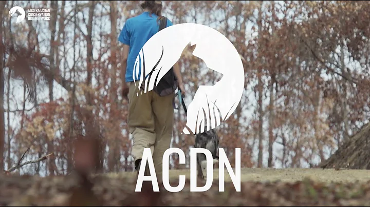 Australasian Conservation Dog Network (ACDN) Promo Video 2021
