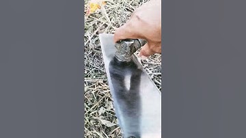 kiểm tra lưỡi dao máy cắt cỏ thường xuyên để được an toàn cho bạn nhé