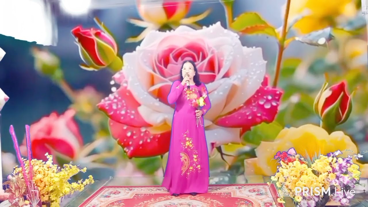 GIẤC NGŨ CÔ ĐƠN  : trình bày  - LÊ ẤM  -  28 tháng 2, 2026