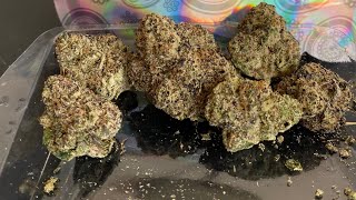 Tiger Pussy Strain Review