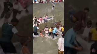 peeling puspha#trending#shortvideo#youtubeshorts#song#trendingshorts#