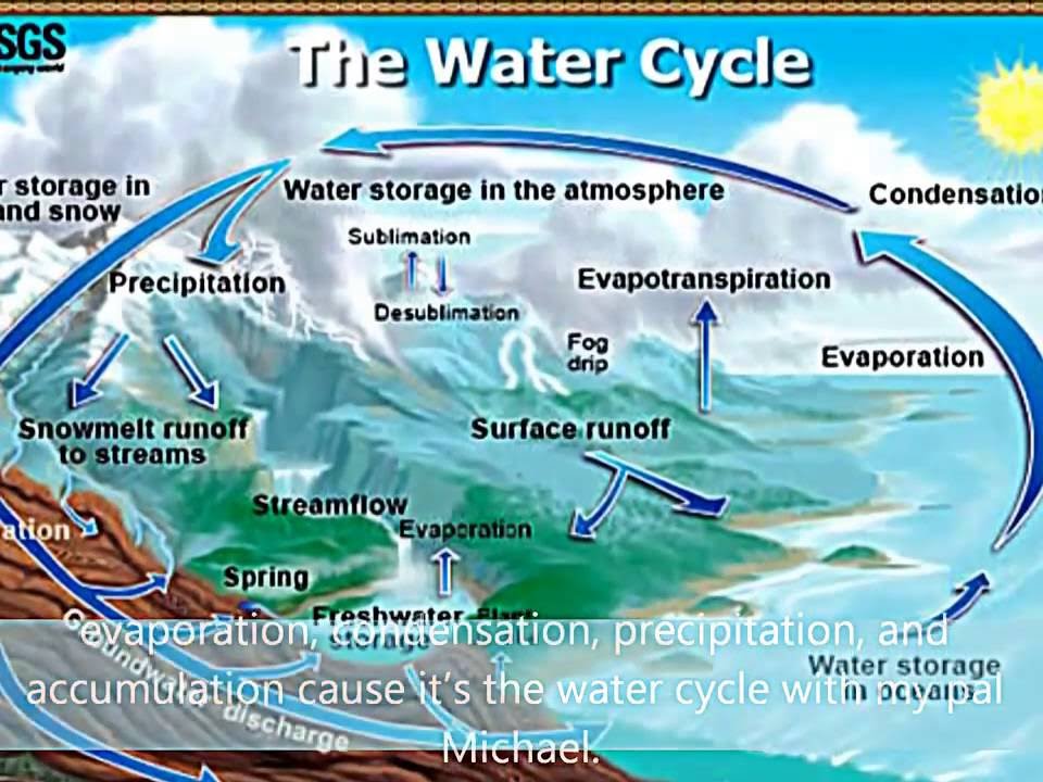 Water Cycle Rap by Jo G winner YouTube