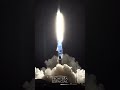 ✨ Starlink Direct to Cell: ¡Despegue de Satélites que Cambiarán la Conectividad! 📡🚀