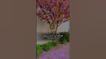 #القرآن_الكريم صوت يخشع القلب والروح الشيخ ياسر الدوسري تلاوه خاشعه