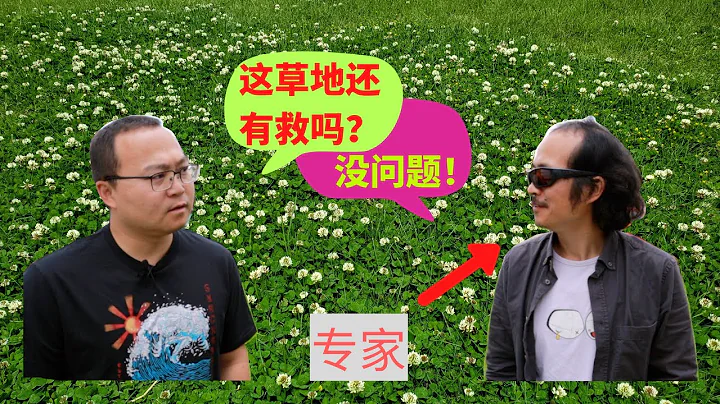 如何除杂草？如何使用除草剂？如何施肥？植物专家来帮忙！ - 天天要闻