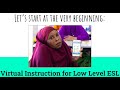 Lets start at the very beginning virtual instruction for low level esl