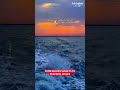 meet the horizon of  the stunning Gulf of Basra!