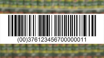 Use of the Serial Shipping Container Code (SSCC) in the retail sector