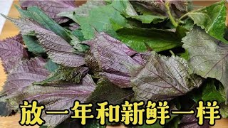 保存紫苏，别直接放冰箱，教你一招，放一年还和新鲜的一样
