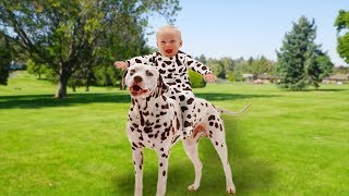 Bebe Mignon S Amuser Avec Chien Dalmatien Chien Et Bebe