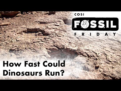 How Fast Could Dinosaurs Run | Natural History Expert Joe Wood