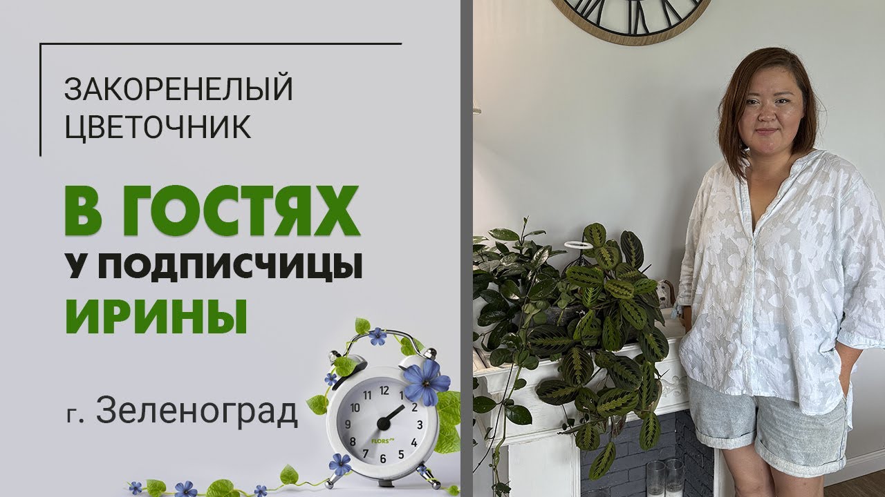 В гостях у Ирины г. Зеленоград. Неожиданный любимец, гигант декабрист, фитостена и женское счастье.