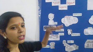 Grade 5 EVS (Explanation of Chapter 2 Migration and relations)