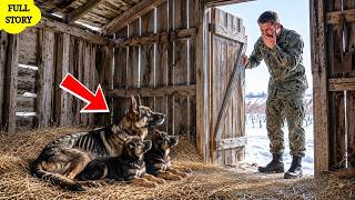 A Navy SEAL Came Home for His German Shepherd... Unaware She Was Cast Out With Her Two Puppies