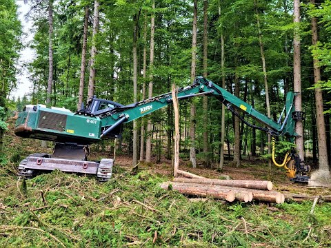 ?*KönigsTiger in strong wood* • Königstiger Kern 40T • Holzhandel Wegener • biggest Harvester?