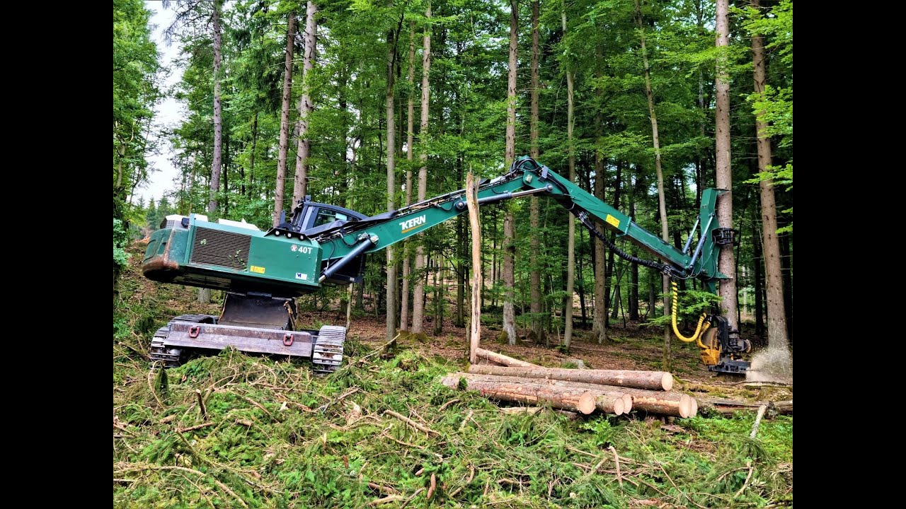 🌲*KönigsTiger in strong wood* • Königstiger Kern 40T • Holzhandel Wegener • biggest Harvester🌲