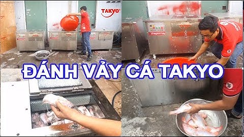 làm sạch vảy cá mú 15kg chỉ trong một phút đã có máy đánh vả cá takyo tk500 điện gia đình