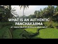 What is an authentic panchakarma at oneworld ayurveda in ubud bali  the ayurveda way