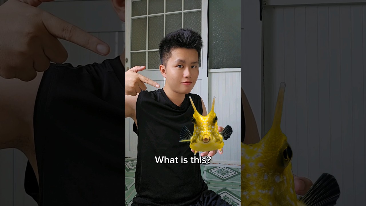 What is this? (P187)