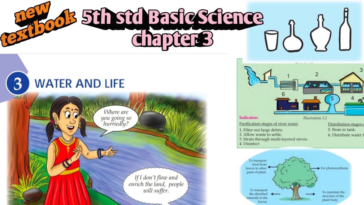 5th std Basic Science chapter 3 Water and Life new textbook - YouTube