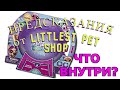 ПОЛУСФЕРА с предсказаниями от LITTLEST PET SHOP! Распаковка НАБОРА LPS с коллекционными фигурками