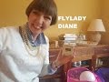 Flylady Diane - Zone 1 (Declutter, April 2017)