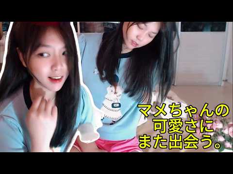 マメちゃんの可愛さにまた出会う。| Mame Chan - YouTube