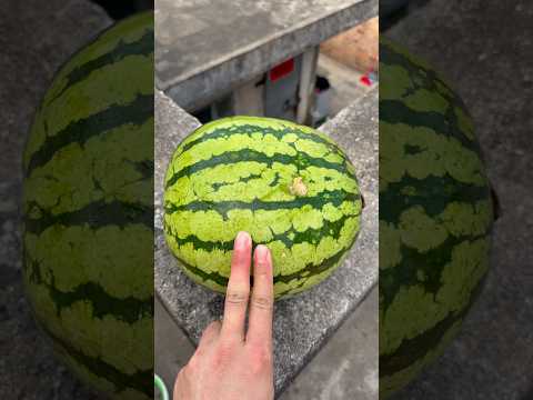 Experiment: Will a watermelon explode if it rolls down a tall building? 🍉💥#shorts