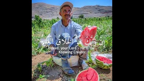 القارئ : هزاع البلوشي