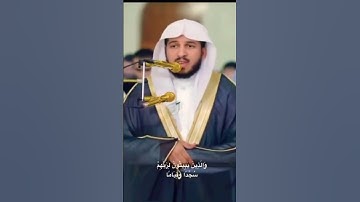 تلاوة خاشعة | وعباد الرحمن الذين يمشون على الأرض هونا