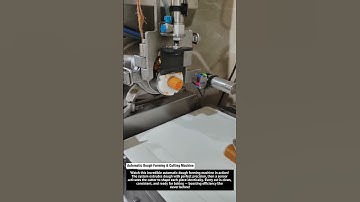 Automatic Dough Forming & Cutting Machine | High-Speed Food Production Line 2025 🍪⚙️
