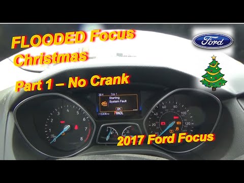 FLOODED Focus Christmas - Part 1 (No Crank)