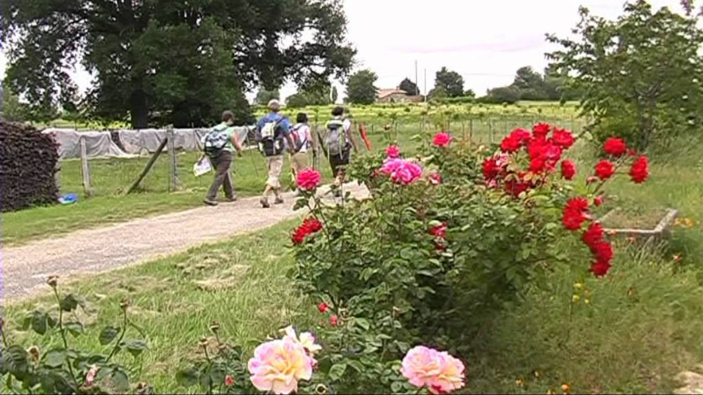 Journée régionale de la randonnée à Cocumont