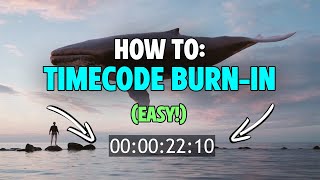 How To Add A Timecode In Premiere Pro 2024 Quick Easy