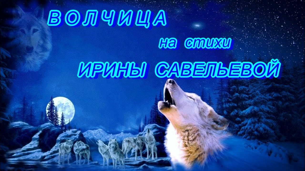 Группа волчицы песни волчицы. Группа волчицы песни волчицы
