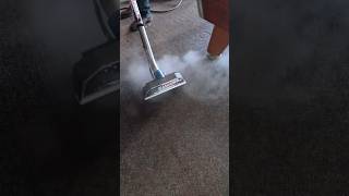 Clean Sandy Lake Carpets in Cold #ViralShorts #CarpetCleaning #SaigersCodeRed #ColdWeatherCleaning