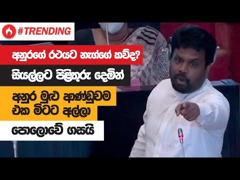 අනුර කුමාර එක මිටට මුළු ආණ්ඩුවම අල්ලා පොලොවේ ගසයි