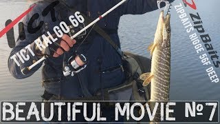 Beautiful Movie №7 Белоснежные Tict Ralgo 66 и ZipBaits Rigge 56F Deep