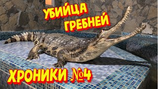 [Хроники № 4] Аллигатор Грызет Стену